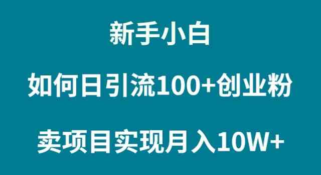 （9556期）新手小白如何通过卖项目实现月入10W+-网创空间