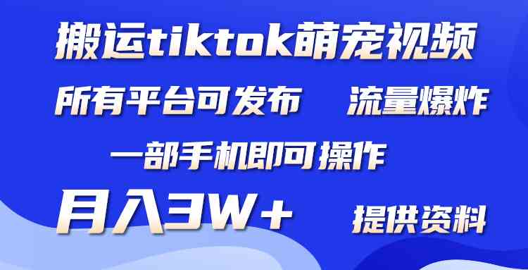 （9618期）搬运Tiktok萌宠类视频，一部手机即可。所有短视频平台均可操作，月入3W+-网创空间