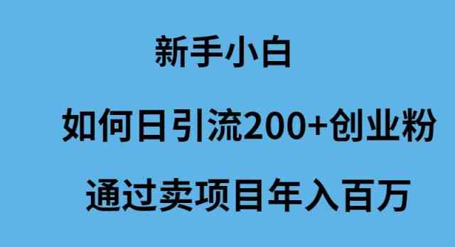 （9668期）新手小白如何日引流200+创业粉通过卖项目年入百万-网创空间