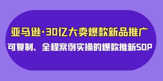 （9944期）亚马逊30亿·大卖爆款新品推广，可复制、全程案例实操的爆款推新SOP-网创空间