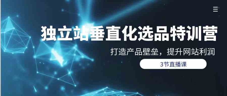 （9925期）独立站-垂直化选品训练营，打造产品壁垒，提升网站利润（3节直播课）-网创空间