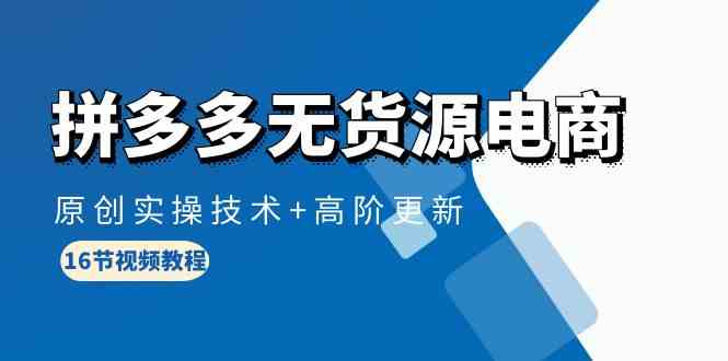 （10015期）拼多多无货源电商，原创实操技术+高阶更新（16节视频教程）-网创空间