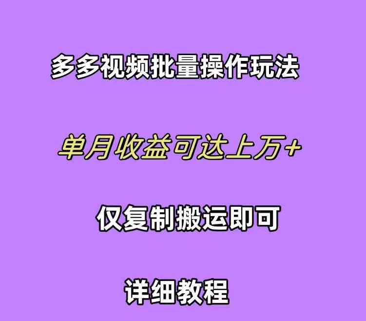（10029期）拼多多视频带货快速过爆款选品教程 每天轻轻松松赚取三位数佣金 小白必…-网创空间