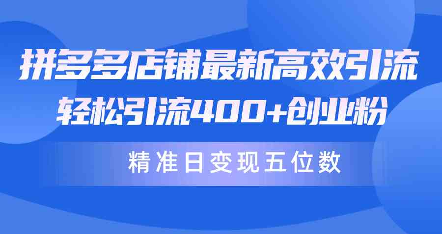 （10041期）拼多多店铺最新高效引流术，轻松引流400+创业粉，精准日变现五位数！-网创空间
