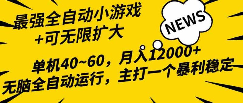 （10046期）2024最新全网独家小游戏全自动，单机40~60,稳定躺赚，小白都能月入过万-网创空间