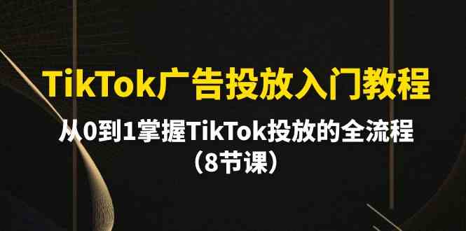 （10085期）TikTok广告投放入门教程，从0到1掌握TikTok投放的全流程（8节课）-网创空间