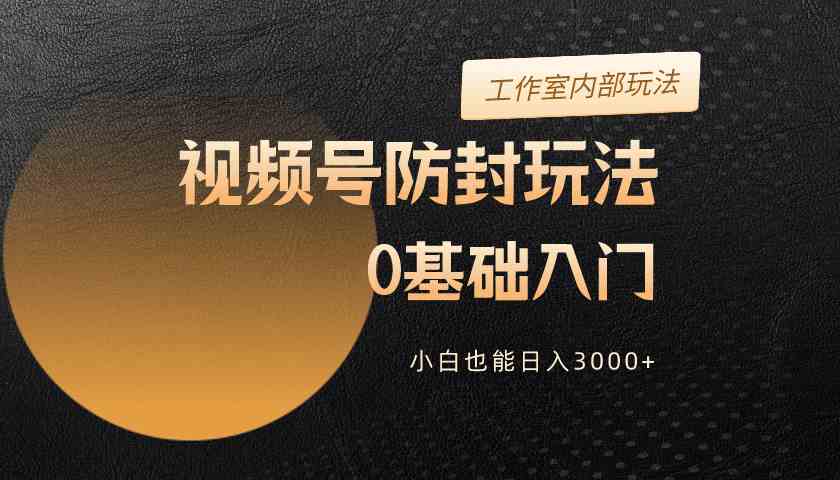 （10107期）2024视频号升级防封玩法，零基础入门，小白也能日入3000+-网创空间