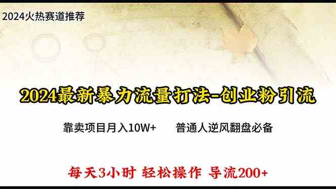 （10151期）2024年最新暴力流量打法，每日导入300+，靠卖项目月入10W+-网创空间