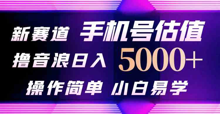 （10154期）抖音不出境直播【手机号估值】最新撸音浪，日入5000+，简单易学，适合…-网创空间