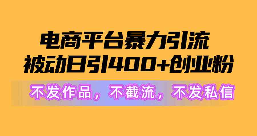 （10168期）电商平台暴力引流,被动日引400+创业粉不发作品，不截流，不发私信-网创空间