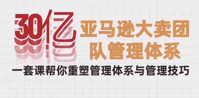 （10178期）30亿-亚马逊大卖团队管理体系，一套课帮你重塑管理体系与管理技巧-网创空间