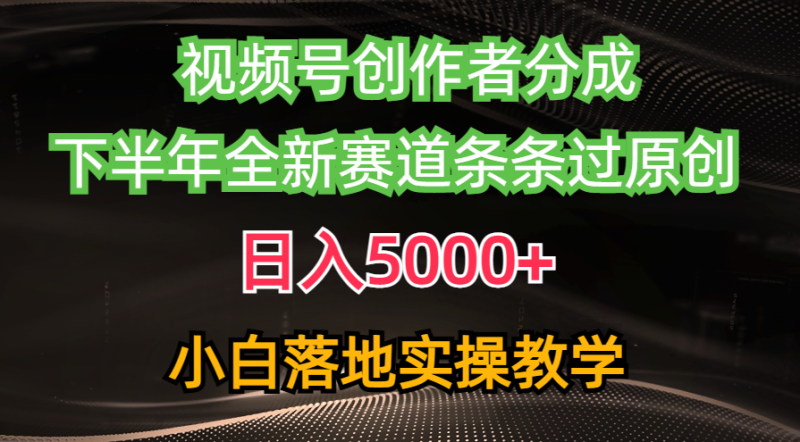 （10294期）视频号创作者分成最新玩法，日入5000+  下半年全新赛道条条过原创，小…-网创空间