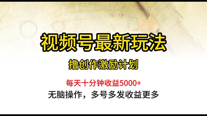 （10591期）视频号最新玩法，每日一小时月入5000+-网创空间