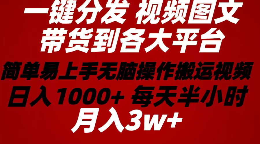 （10667期）2024年 一键分发带货图文视频  简单易上手 无脑赚收益 每天半小时日入1…-网创空间
