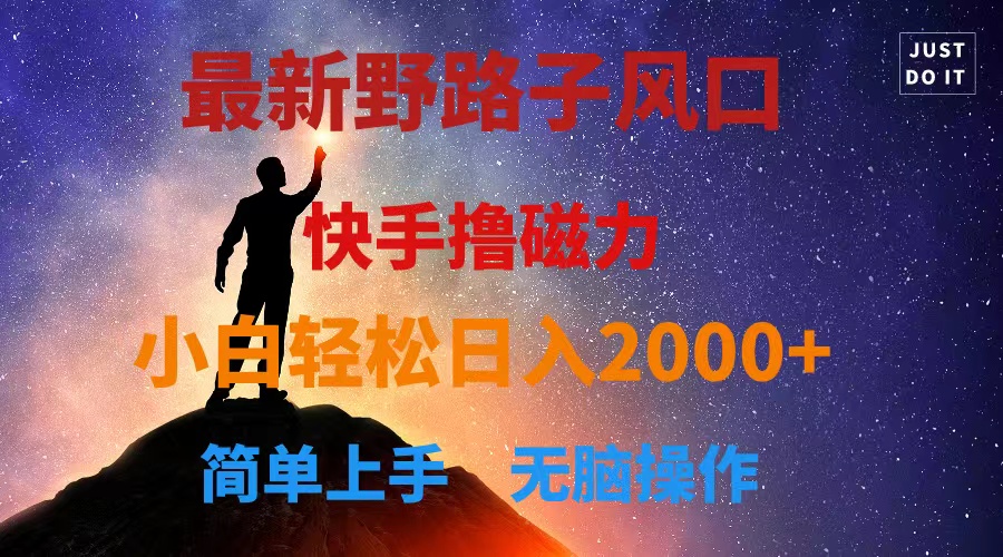 （10754期）最新风口！快手撸磁力，野路子，小白无脑操作日入2000+-网创空间