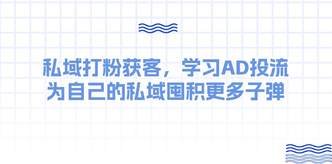 （10728期）某收费课：私域打粉获客，学习AD投流，为自己的私域囤积更多子弹-网创空间