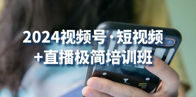 （10797期）2024视频号·短视频+直播极简培训班：抓住视频号风口，流量红利-网创空间
