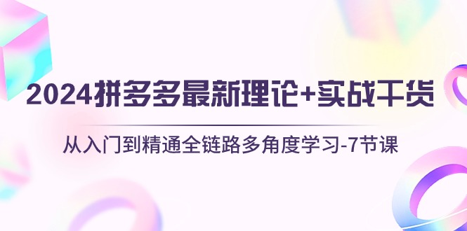 （10816期）2024拼多多 最新理论+实战干货，从入门到精通全链路多角度学习-7节课-网创空间