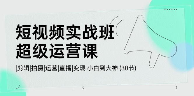 （10836期）短视频实战班-超级运营课，|剪辑|拍摄|运营|直播|变现 小白到大神 (30节)-网创空间