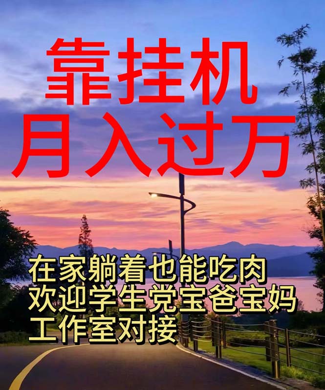 （10838期）靠挂机，日入1000+，躺着也能吃肉，适合宝爸宝妈学生党工作室，电脑手…-网创空间