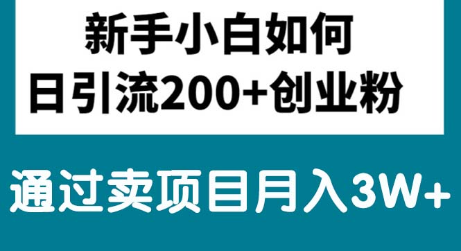 （10843期）新手小白日引流200+创业粉,通过卖项目月入3W+-网创空间