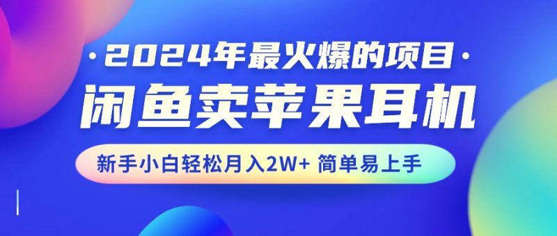 （10863期）2024年最火爆的项目，闲鱼卖苹果耳机，新手小白轻松月入2W+简单易上手-网创空间