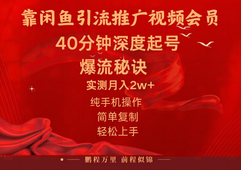 （10895期）闲鱼暴力引流推广视频会员，能做到日入2W+，操作简单-网创空间