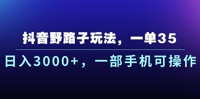 （10909期）抖音野路子玩法，一单35.日入3000+，一部手机可操作-网创空间