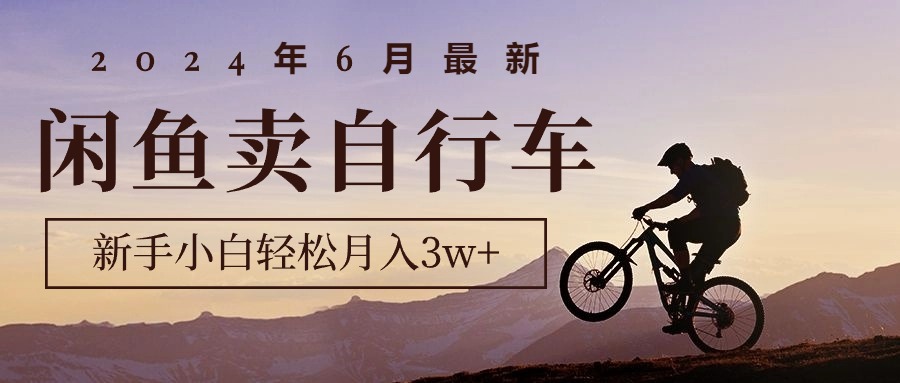 （10915期）2024年6月最新闲鱼卖自行车，新手小白轻松月入3w+项目-网创空间