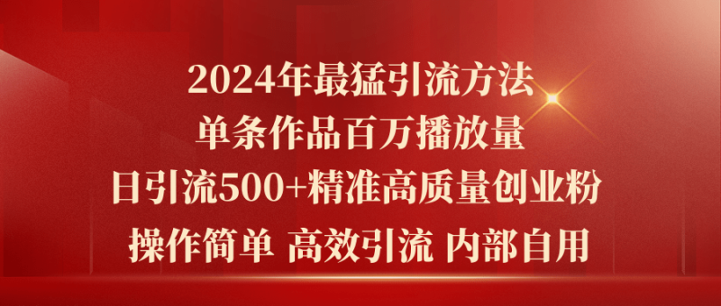 （10920期）2024年最猛暴力引流方法，单条作品百万播放 单日引流500+高质量精准创业粉-网创空间