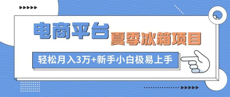 (10934期)电商平台夏季冰箱项目,轻松月入3万+,新手小白极易上手-网创空间
