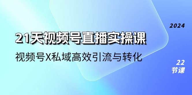 （10966期）21天-视频号直播实操课，视频号X私域高效引流与转化（22节课）-网创空间