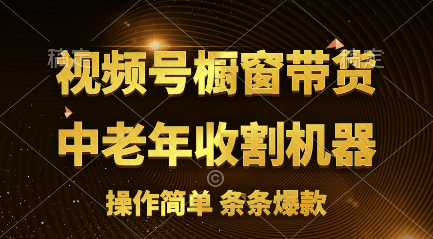 （11009期）[你的孩子成功取得高位]视频号最火爆赛道，橱窗带货，流量分成计划，条…-网创空间