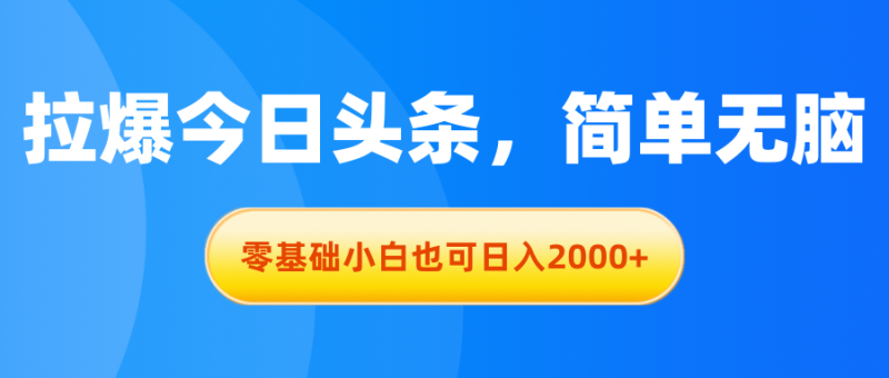 （11077期）拉爆今日头条，简单无脑，零基础小白也可日入2000+-网创空间