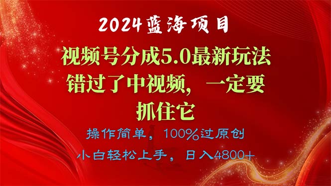 （11032期）2024蓝海项目，视频号分成计划5.0最新玩法，错过了中视频，一定要抓住…-网创空间