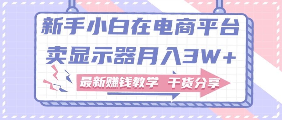 （11053期）新手小白如何做到在电商平台卖显示器月入3W+，最新赚钱教学干货分享-网创空间