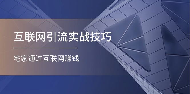 （11108期）互联网引流实操技巧(适合微商，吸引宝妈)，宅家通过互联网赚钱（17节）-网创空间