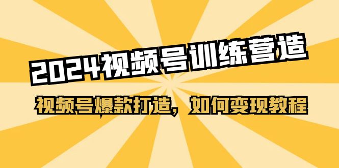 （11135期）2024视频号训练营，视频号爆款打造，如何变现教程（20节课）-网创空间