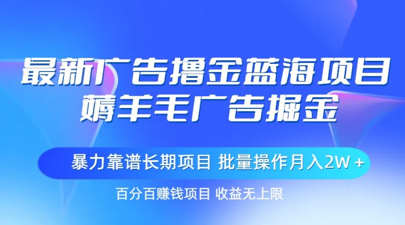 （11193期）最新广告撸金蓝海项目，薅羊毛广告掘金 长期项目 批量操作月入2W＋-网创空间