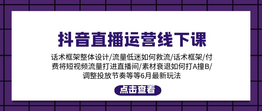 （11211期）抖音直播运营线下课：话术框架/付费流量直播间/素材A撞B/等6月新玩法-网创空间