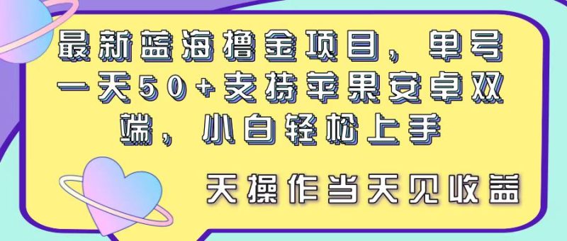 （11287期）最新蓝海撸金项目，单号一天50+， 支持苹果安卓双端，小白轻松上手 当…-网创空间