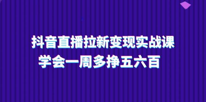 （11254期）抖音直播拉新变现实操课，学会一周多挣五六百（15节课）-网创空间
