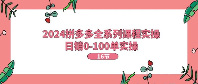 （11222期）2024拼多多全系列课程实操，日销0-100单实操【16节课】-网创空间