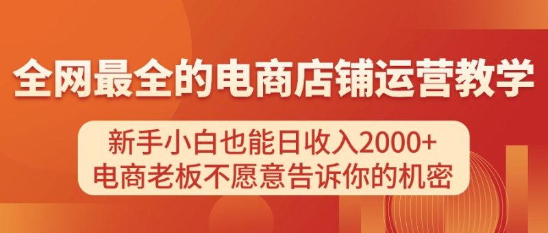 （11266期）电商店铺运营教学，新手小白也能日收入2000+，电商老板不愿意告诉你的机密-网创空间