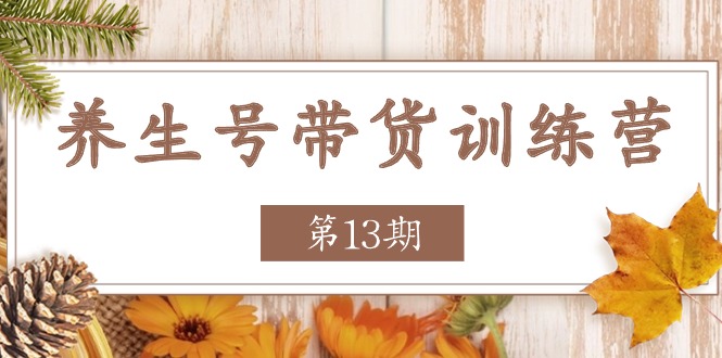 （11275期）养生号-带货训练营【第13期】收益更稳定的玩法，让你带货收益爆炸-网创空间