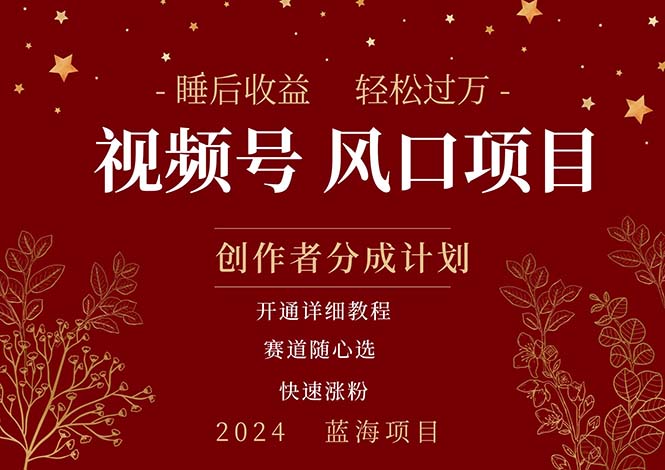 （11331期）拥有睡眠收益的微信视频号大风口项目，轻松月入过万+，多赛道选择，可…-网创空间