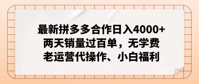 （11343期）最新拼多多合作日入4000+两天销量过百单，无学费、老运营代操作、小白福利-网创空间