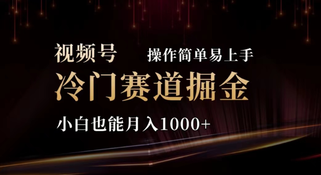 （11378期）2024视频号冷门赛道掘金，操作简单轻松上手，小白也能月入1000+-网创空间