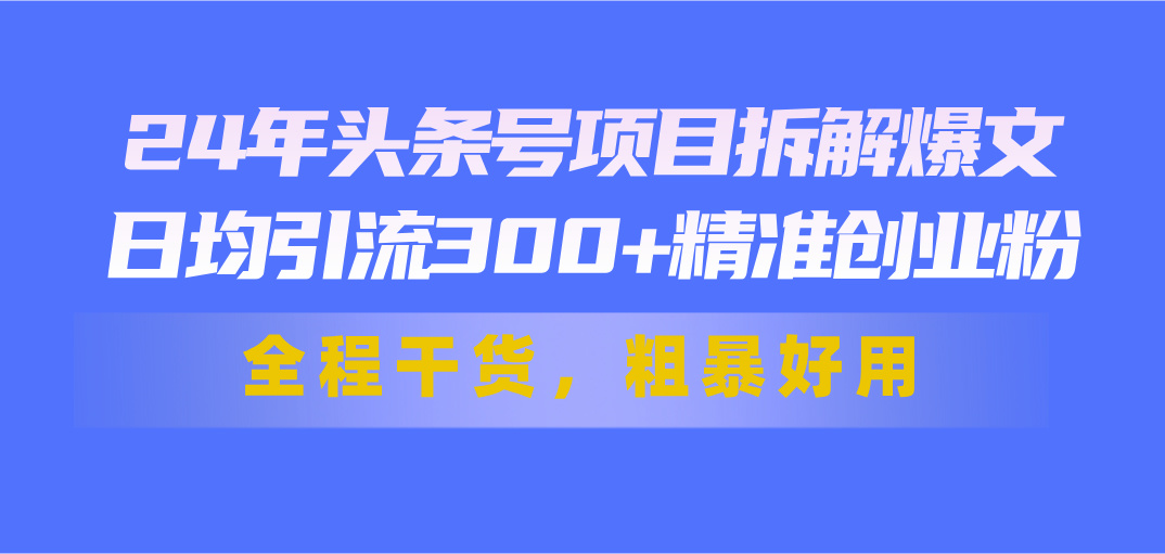 （11397期）24年头条号项目拆解爆文，日均引流300+精准创业粉，全程干货，粗暴好用-网创空间