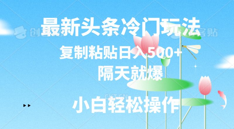 （11414期）最新头条冷门玩法，隔天就爆，复制粘贴日入500+-网创空间